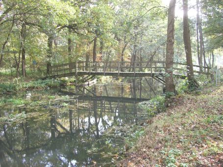 De Peel : Naturschutzgebiet Mariapeel, Herbstimpressionen